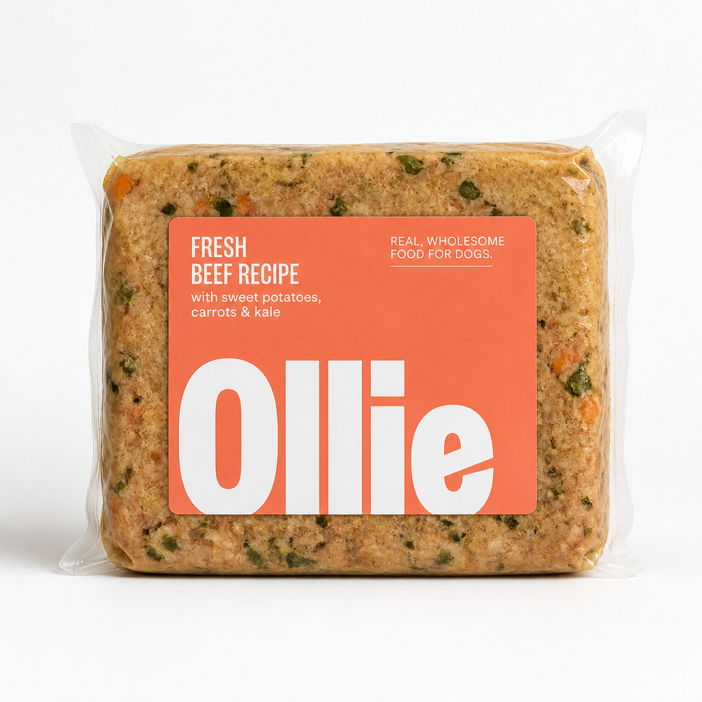 Best Fresh Dog Food for 2026: Side-by-Side Editorial Review