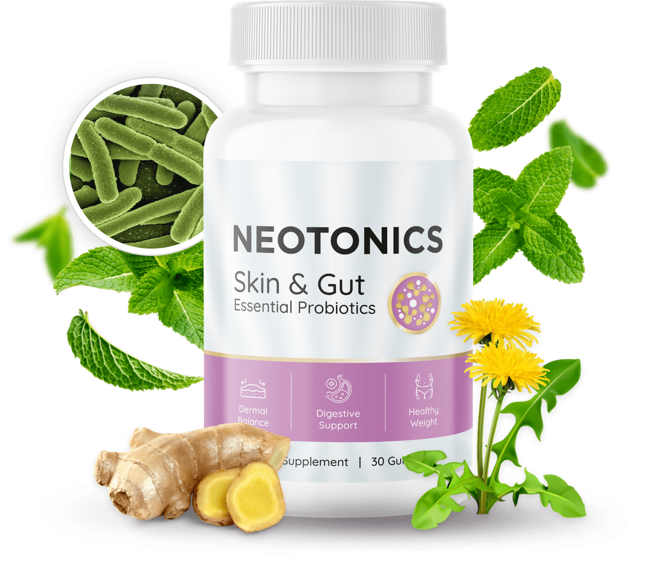 Best Anti Aging Skin Care Supplement for 2026: Side-by-Side Editorial Review