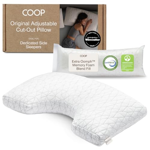 Coop Cut Out Pillow