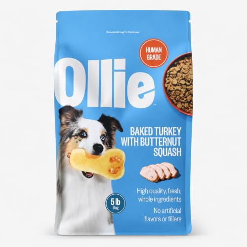 Ollie Baked Turkey & Butternut Squash Dog Food, 5 lbs