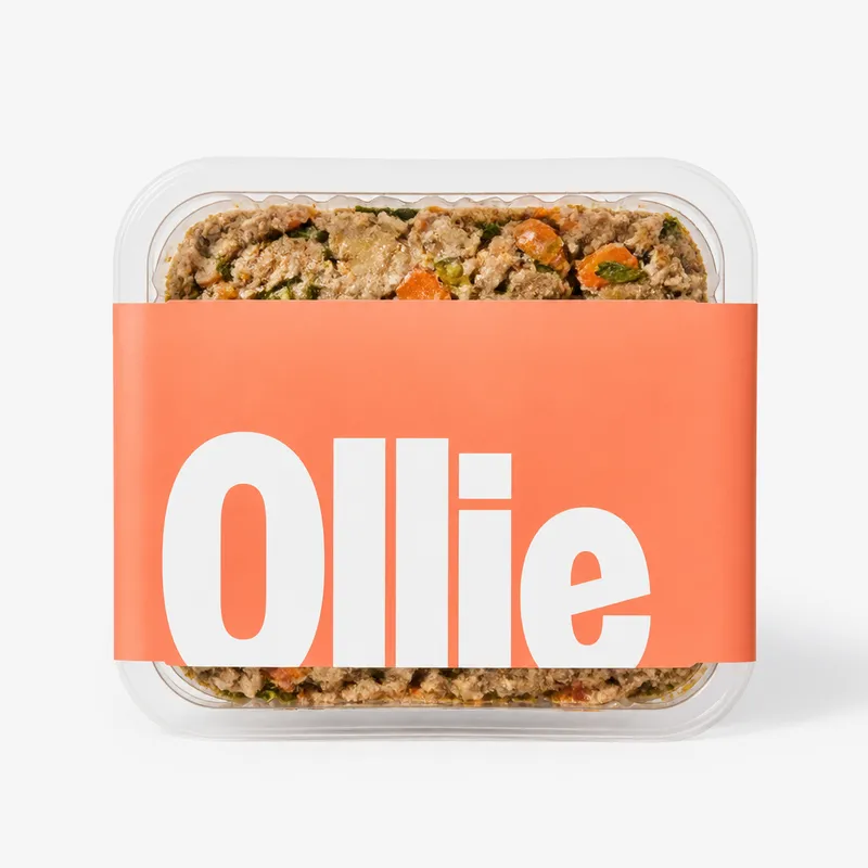 Best Fresh Dog Food for 2026: Side-by-Side Editorial Review