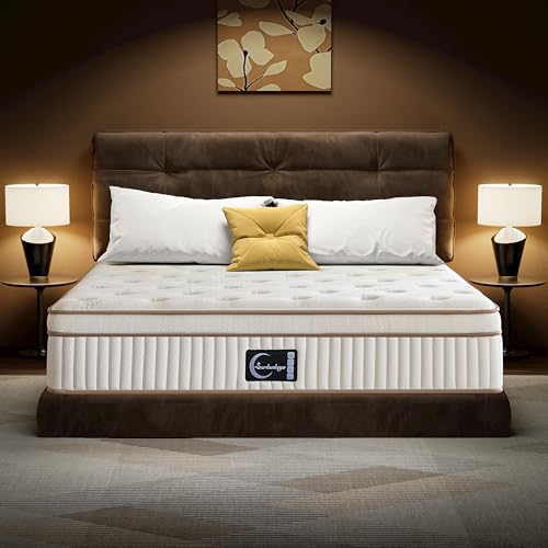 SURLUNKEYS Organic Mattress Queen Size - 14 Inch Hybrid Mattress with Gel Foam Medium to Firm for Hot Sleepers